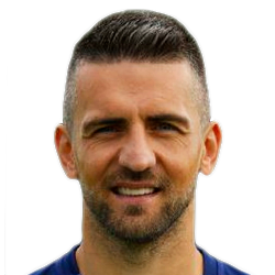 Vedad Ibisevic